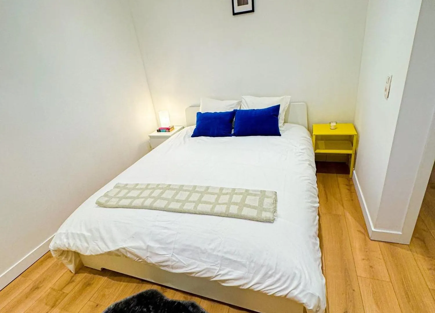 Lovely 1Br & 1Lr Apt For 4P, Only 15 Min Walk To City Center Ghent Apartment
